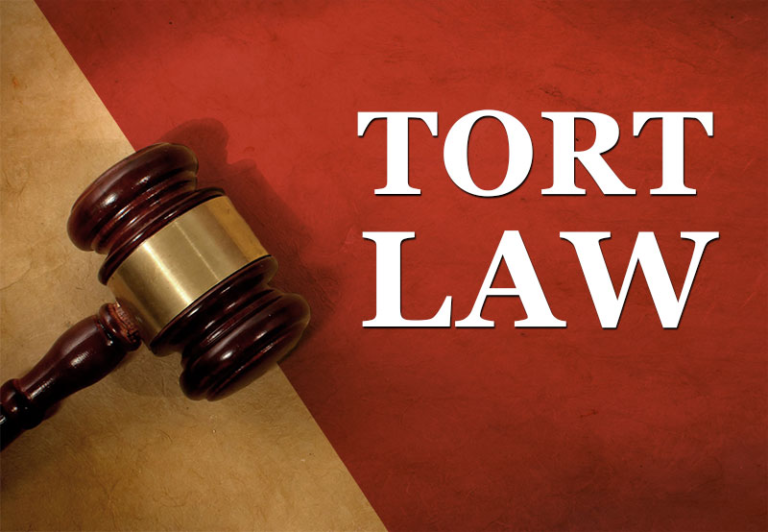 what-you-should-know-about-the-tort-claims-act-process-shadowed-mare